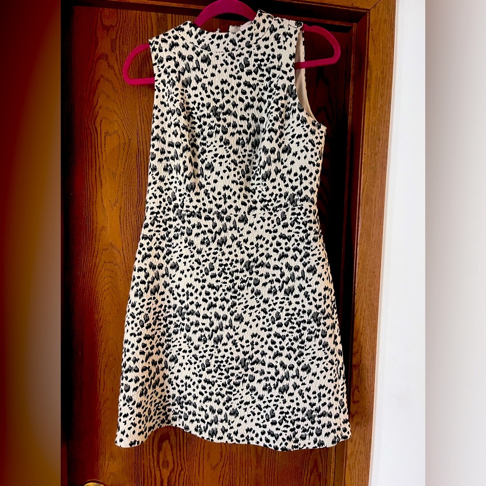 LOFT Leopard dress. Like New.